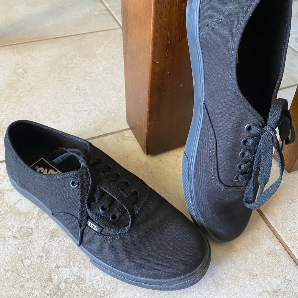 VANS authentic lo pro
